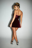 Velvet Strapless Mini Dress